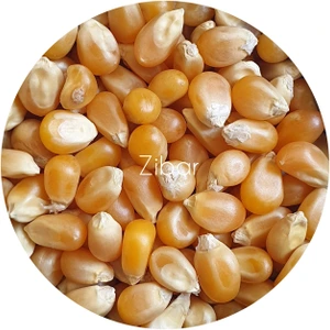 تصویر فروشگاه زیبار