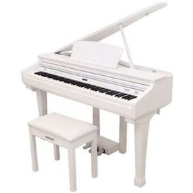 تصویر پیانو دیجیتال آلبینونی مدل GP-300 ا Albinoni GP-300 Digital Piano Albinoni GP-300 Digital Piano