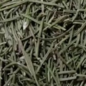 تصویر برگ رزماری عمده 