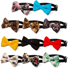 تصویر پاپیون گربه 