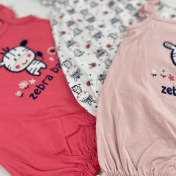 تصویر سرهمی نوزاد نخی زبرا 