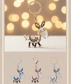 تصویر جاکلیدی Animal 