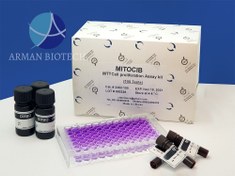 تصویر کیت سنجش تکثیر و زنده مانی سلول MTT در سه حجم 100، 300 و 600 تستی، سیب زیست فن 