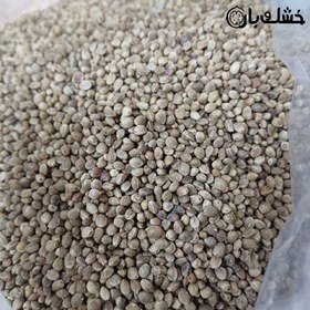 تصویر شاه دانه بو داده 250 گرمی 