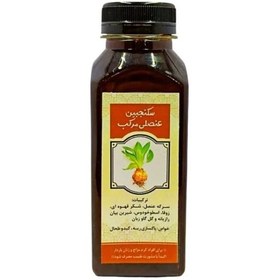 تصویر سکنجبین عنصلی مرکب غدیر (380 گرم) 