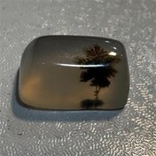 تصویر سنگ شجر قاین 