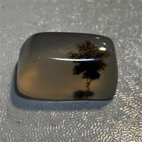 تصویر سنگ شجر قاین 