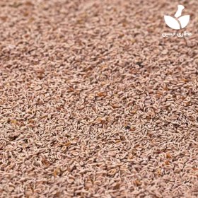 تصویر تخم اسفرزه 