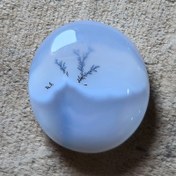 تصویر شجر قائن دوطرف سنگ شجر دارد 