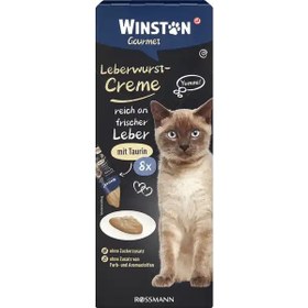 تصویر بستنی گربه وینستون با طعم جگر Winston Cat Ice Cream with Fresh Liver Flavor