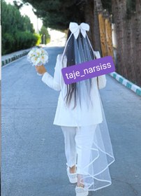 تصویر تورعروس پاپیون 