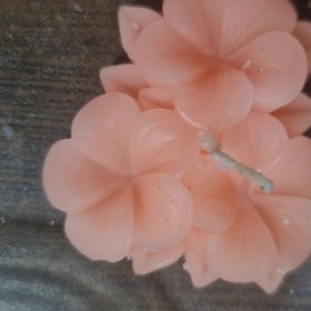 تصویر شمع گل یخ 