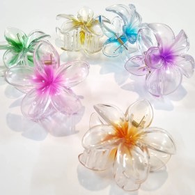 تصویر کلیپس پلومریا شیشه ای 