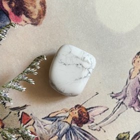 تصویر هولیت ۰۱ 