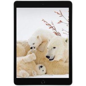 تصویر تبلت اپل مدل iPad (9th Generation) 10.2-Inch Wi-Fi (2021) ظرفیت 64 گیگابایت ا Apple iPad 9th Generation 10.2-Inch Wi-Fi 2021 64GB Tablet Apple iPad 9th Generation 10.2-Inch Wi-Fi 2021 64GB Tablet