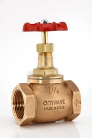 تصویر شیر فلکه سوزنی سیم ایتالیا - 1/2 1 اینچ / C150 Globe Valve