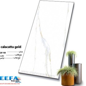 تصویر سرامیک calacatta gold 120*60 ایفا سرام 