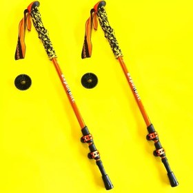 تصویر عصای کوهنوردی اکسپوننت دوعددی 