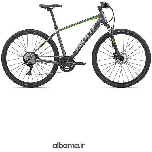 giant roam 1 disc 2020