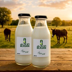 تصویر شیر الاغ یک لیتری 