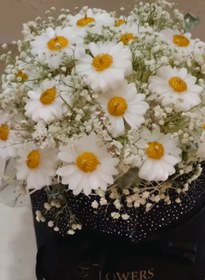 تصویر باکس شمع گل بابونه 