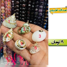 تصویر صدف طبیعی 