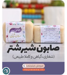 تصویر صابون شیر شتر (شغاری، گیاهی و طبیعی) 