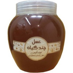 تصویر عسل شهد چندگیاه گوهر شهد مانا 1 کیلوگرمی 