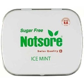 تصویر خوشبو کننده دهان نعناع یخی ناتسور ۱۴ گرم Notsore Mouth Freshener Ice Mint 14 gr