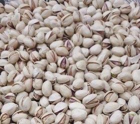 تصویر پسته کله قوچی pistachio