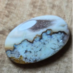 تصویر شجر سایز بزرگ 