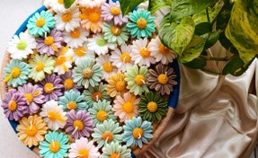 تصویر گیفت شمع گل بابونه 