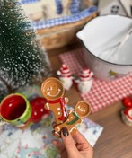 تصویر پیمانه جینجر 