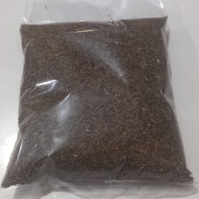 تصویر زیره سیاه 