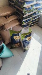 تصویر بذر نخود گوکسو اصطلاح شده 