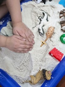 تصویر شن بهداشتی 