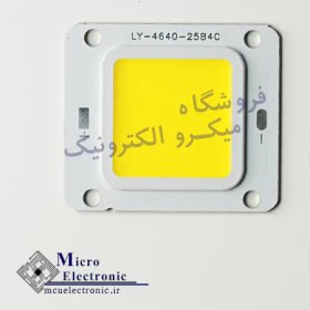 تصویر ال ای دی COB پروژکتوری مدل LY-4640 ظرفیت ۵۰ وات ۱۲ ولت 