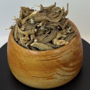 تصویر ثعلب پنجه 