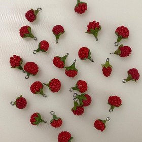 تصویر آویز تمشک 