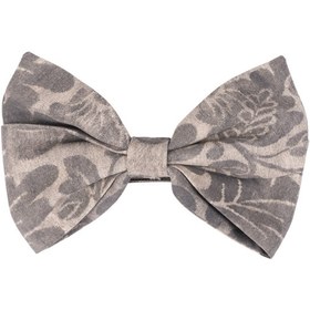 تصویر پاپیون طرح دار 