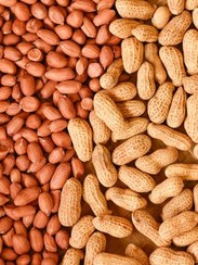 تصویر بادام آستانه تازه و درجه 1 