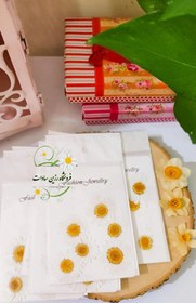 تصویر گل بابونه سفید 