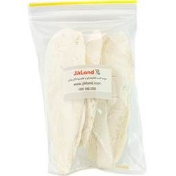 تصویر کف دریا پرنده 