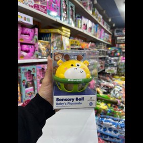 تصویر توپک جغجغه ایی 