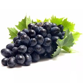 تصویر میوه انگور سیاه 