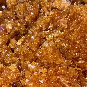 تصویر نبات دو آتیشه یزد (دوکیلویی) 