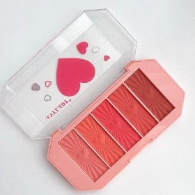 تصویر پالت رژگونه نود آنی لیدی 