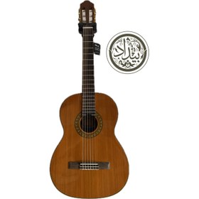 تصویر گیتار چارد فیلیپینی chard