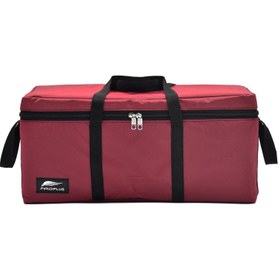 تصویر ساک پیک نیک فیرو پلاس مدل کوچک کد DFP305 - طوسی 