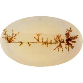 تصویر سنگ شجر پارلا گوهر کد4078 